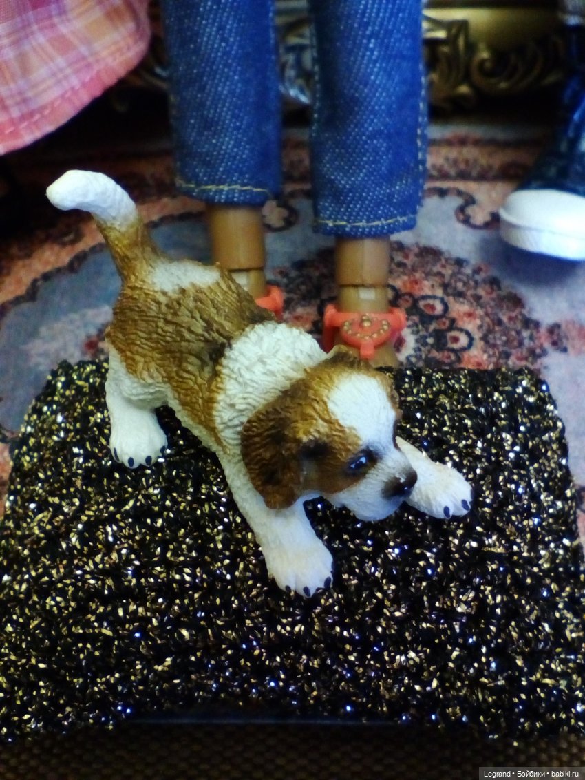 Лурения Мини-дог Шоу Вторая группа поддержки Джана (фото 5)