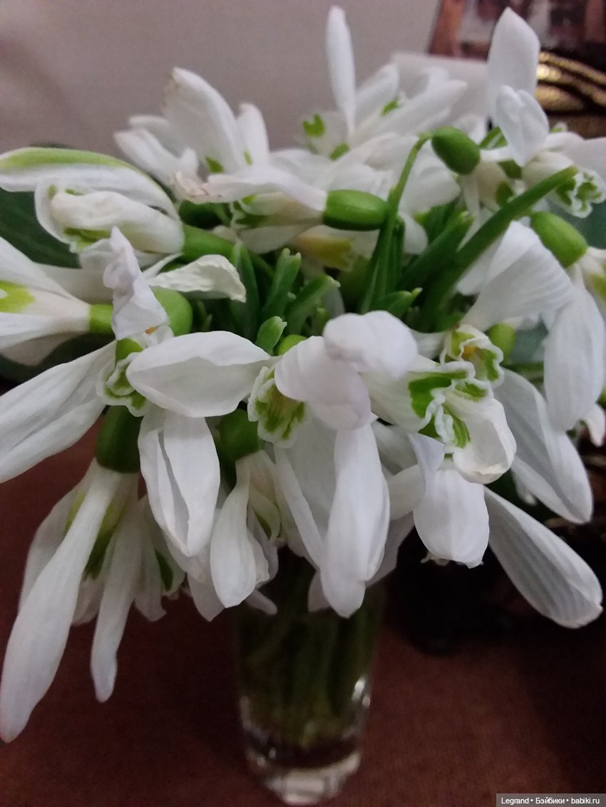 Бокал поднимаю за девушек Стихи Эллиса