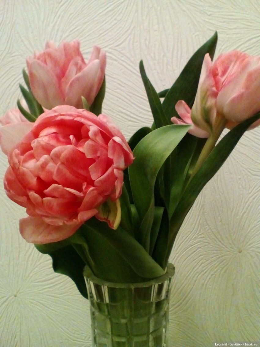 Из истории Лурении. Архивные фото 2