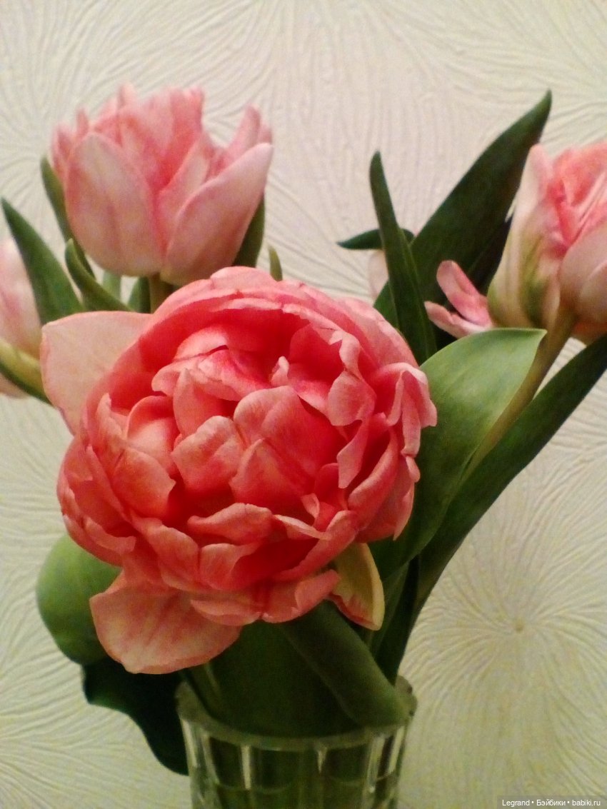 Из истории Лурении. Архивные фото 2