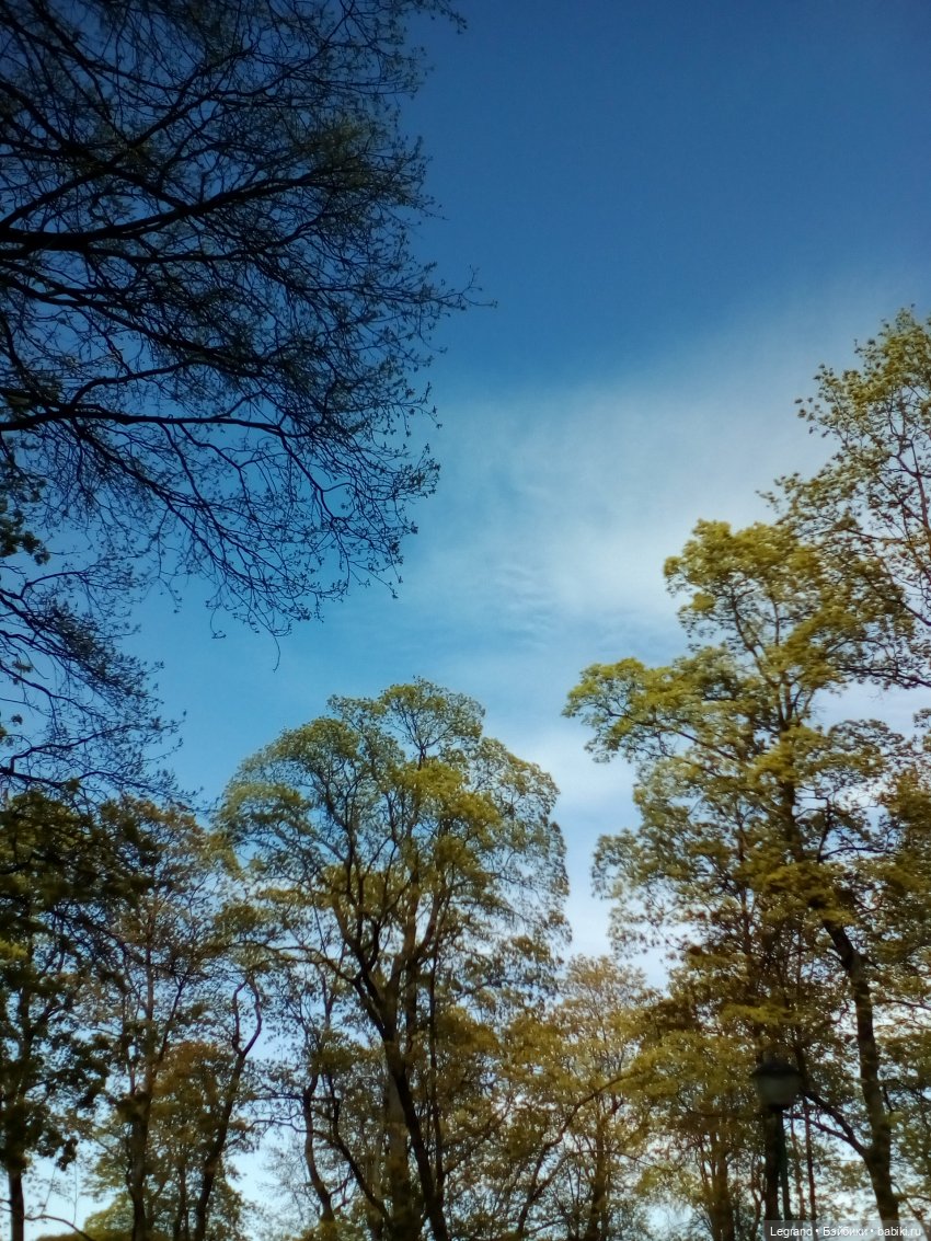 Петербург. Май. Таврический сад (фото 2)