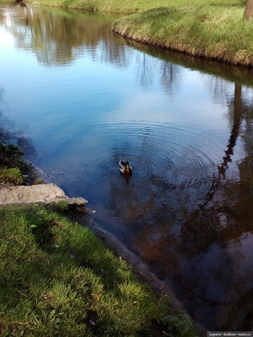 Петербург. Май. Таврический сад (фото 4)