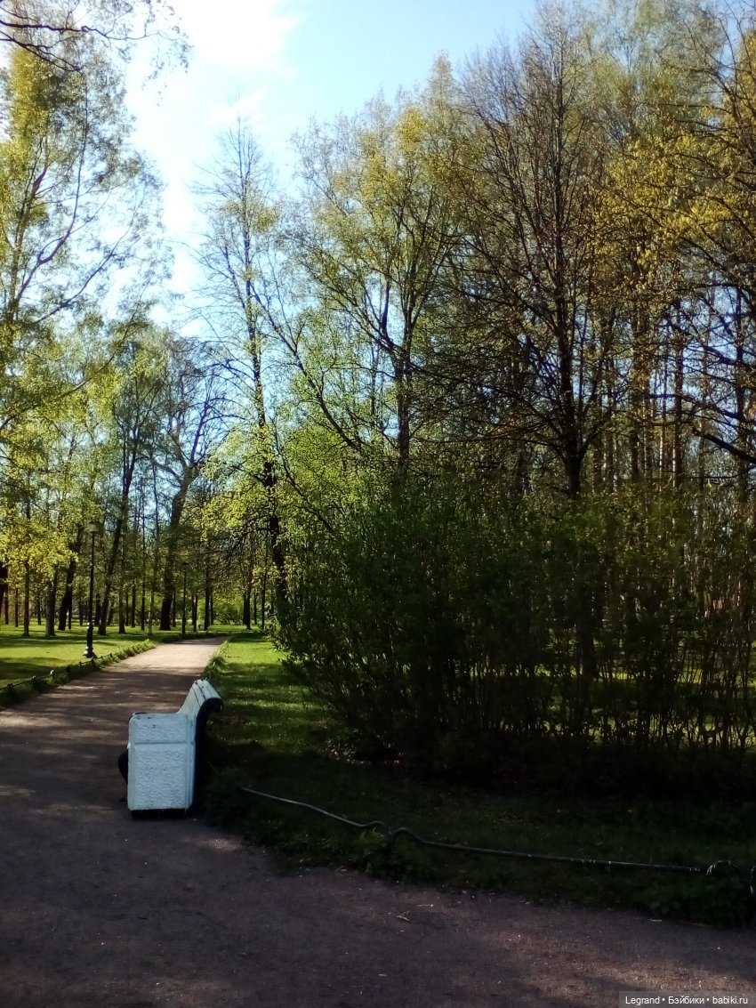 Петербург. Май. Таврический сад (фото 8)