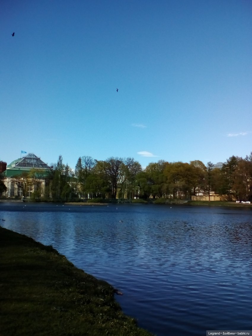 Петербург. Май. Таврический сад (фото 6)