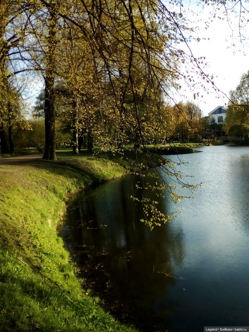 Петербург. Май. Таврический сад и Мармарис (фото 3)