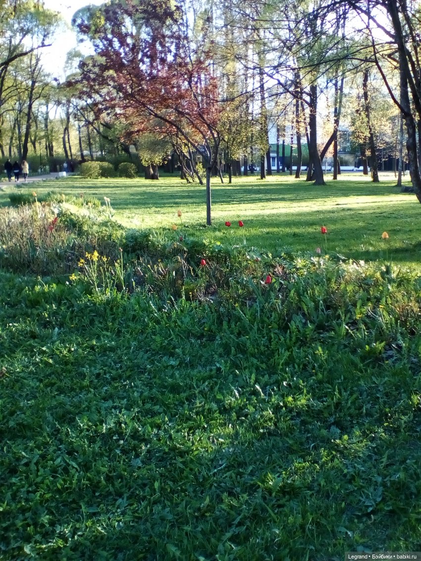 Петербург. Май. Таврический сад и Мармарис (фото 6)