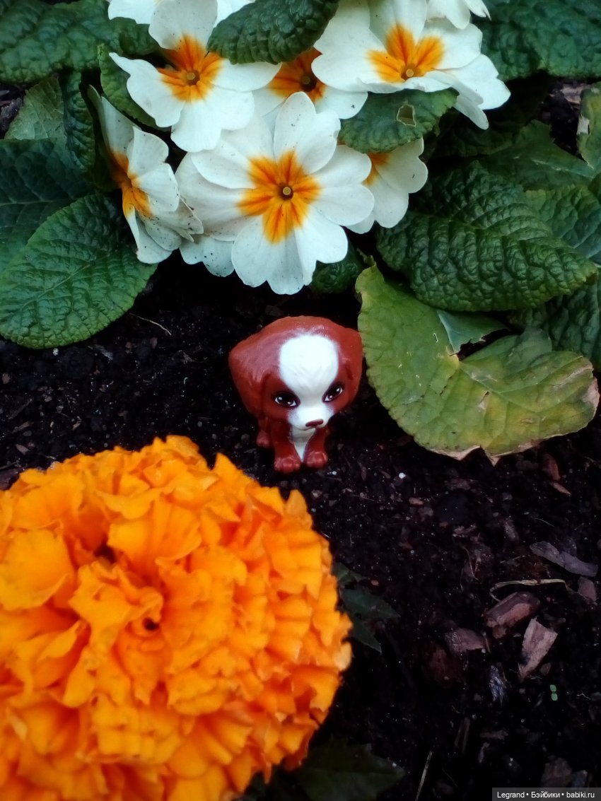 Петербург. Май. Таврический сад и Мармарис