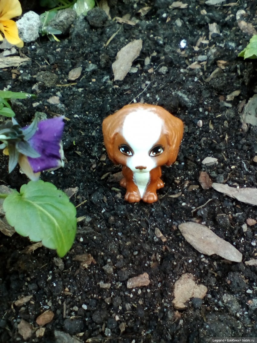 Петербург. Май. Таврический сад и Мармарис