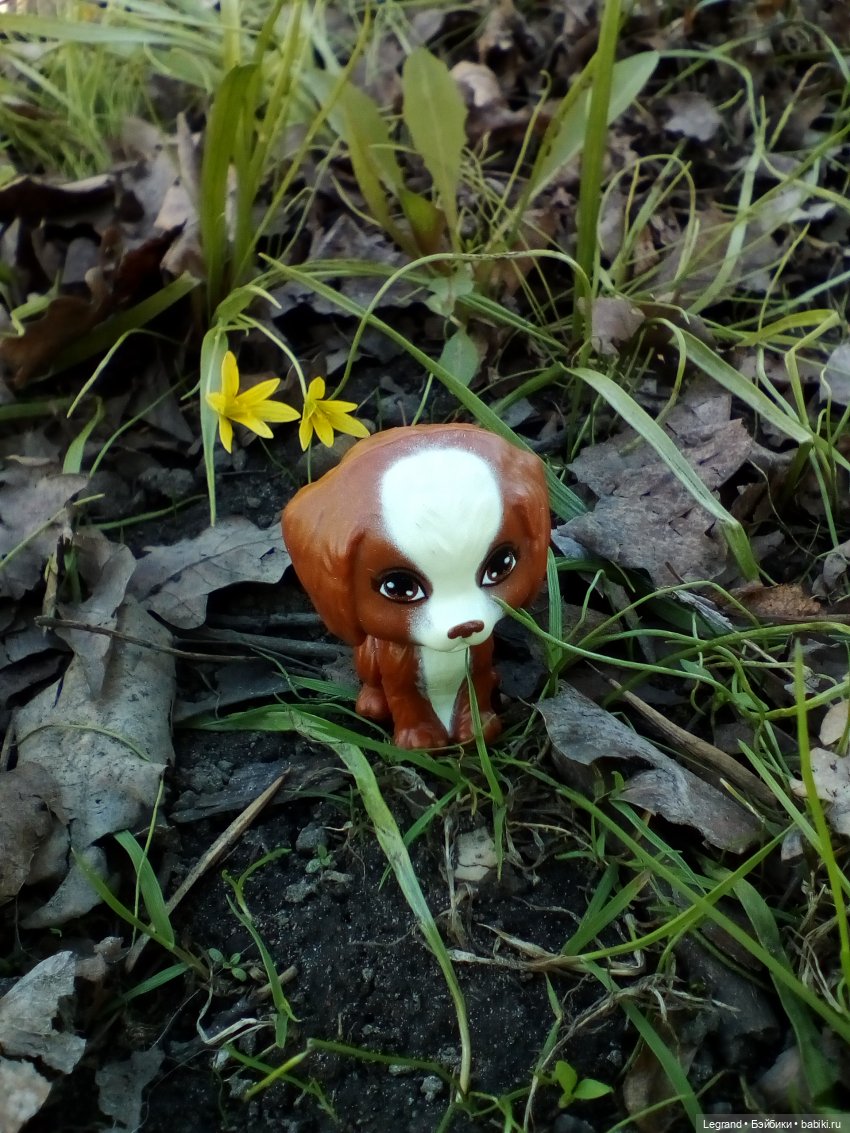 Петербург. Май. Таврический сад и Мармарис (фото 4)