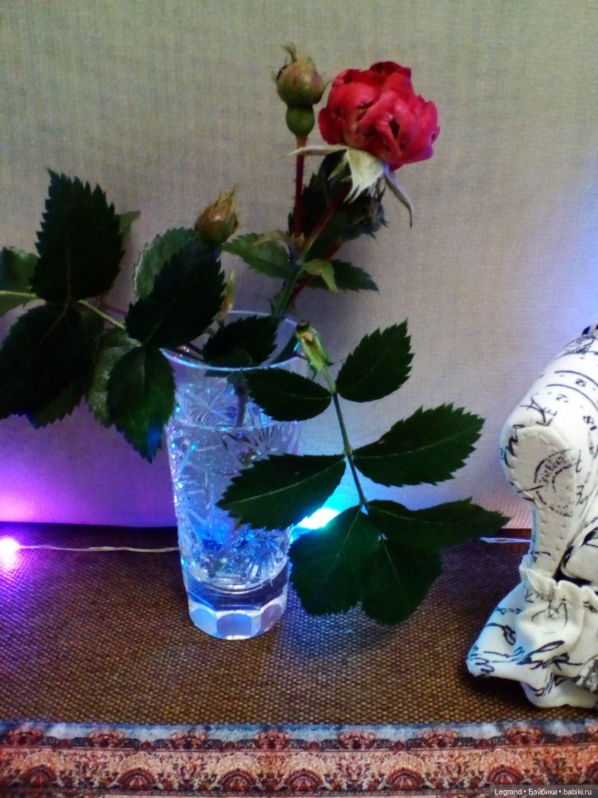 Они сами пишут свои истории: вечеринка для Элли. Часть первая | Бэйбики Они сами пишут свои истории: вечеринка для Элли. Часть первая (фото 3)