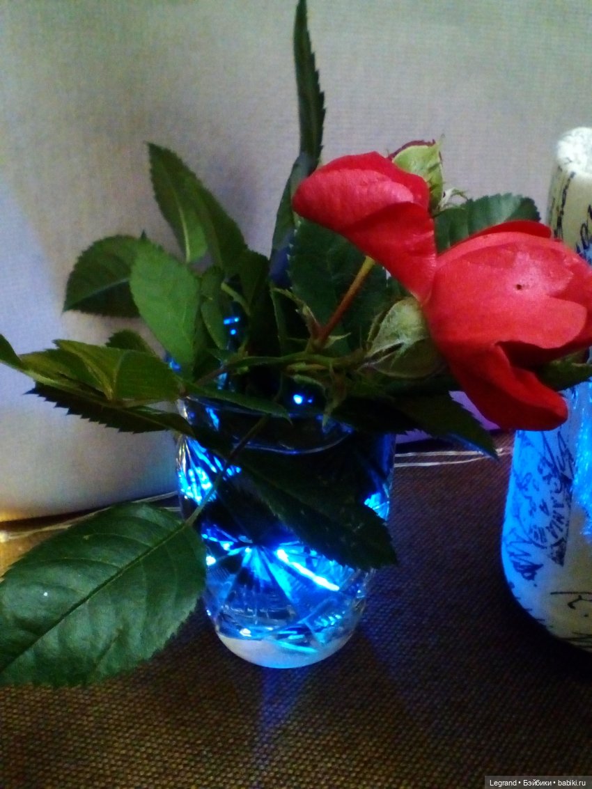 Они сами пишут свои истории: вечеринка для Элли. Часть вторая