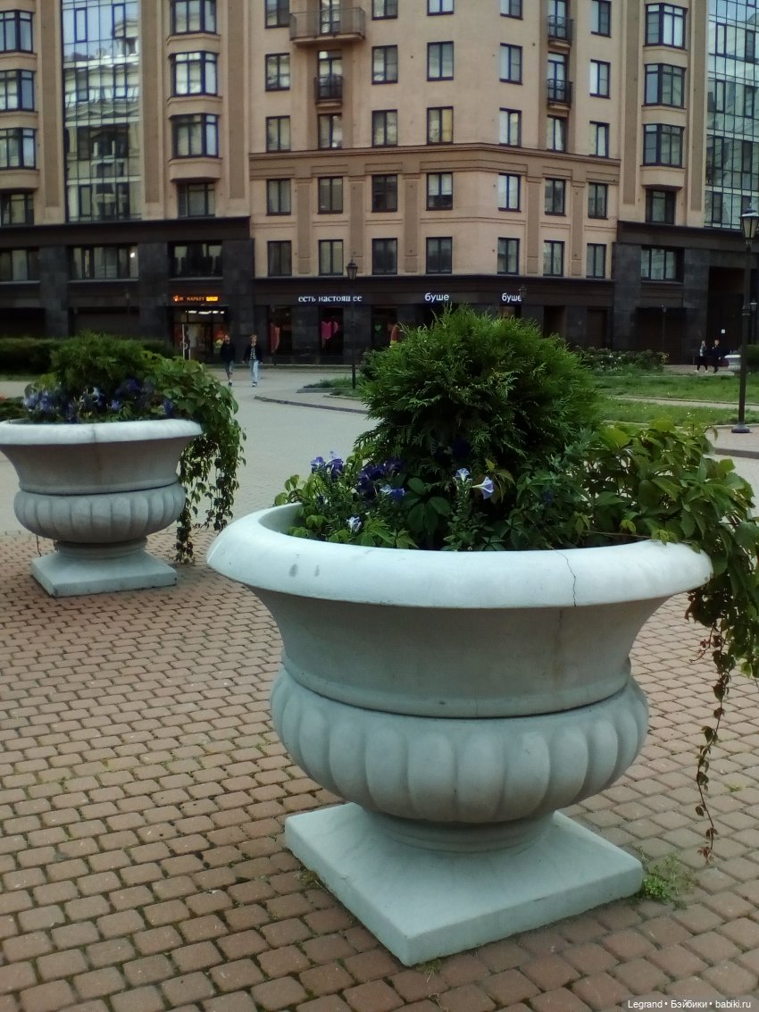 Петербург. Цветочки в Парадном (фото 9)