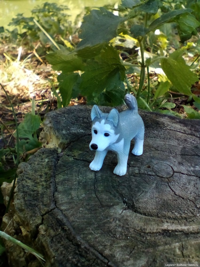 Петербург. Милош в Таврическом саду (фото 10)