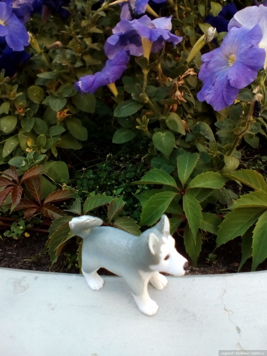 Петербург. Милош в Таврическом саду