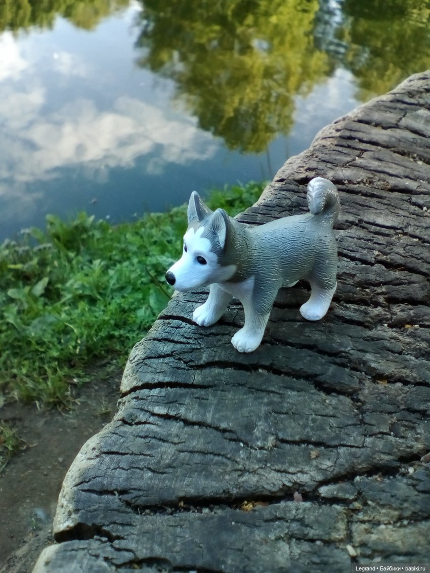 Петербург. Милош в Таврическом саду