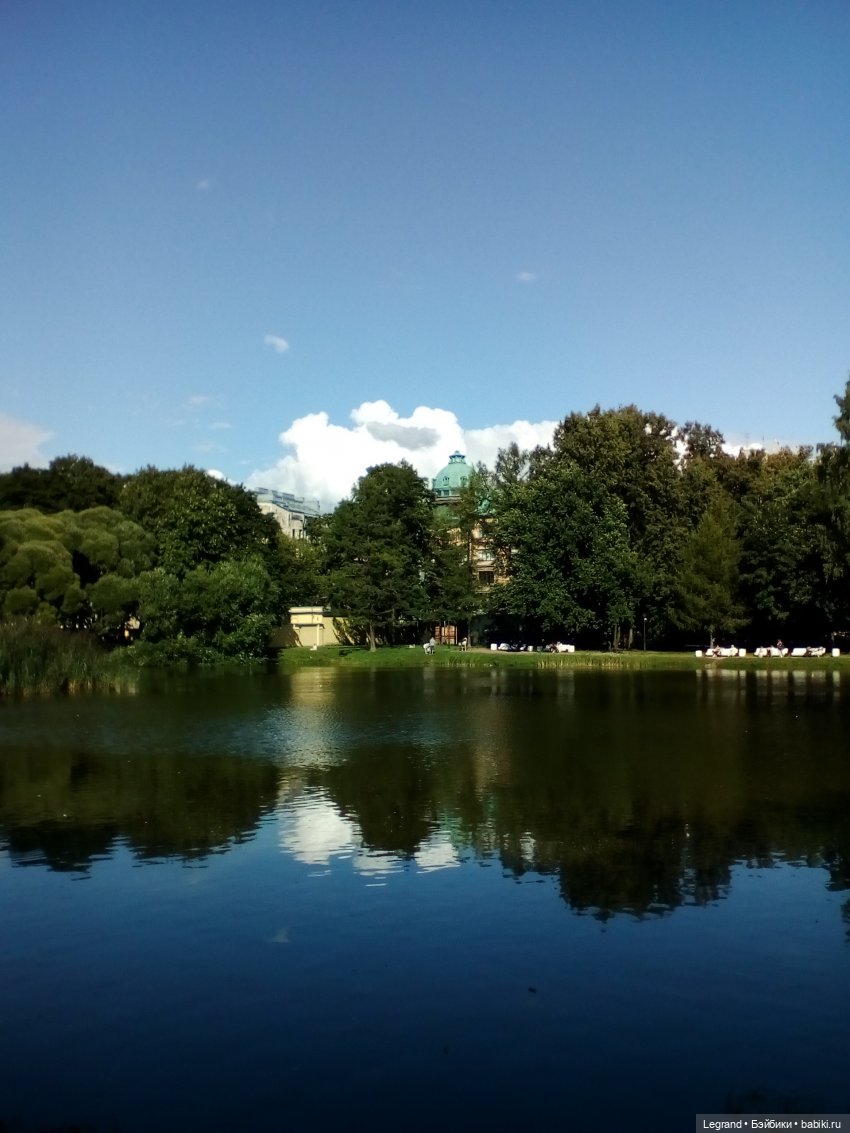 Петербург. Милош в Таврическом саду (фото 7)