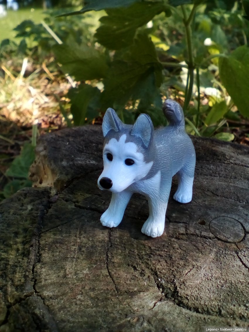 Петербург. Милош в Таврическом саду