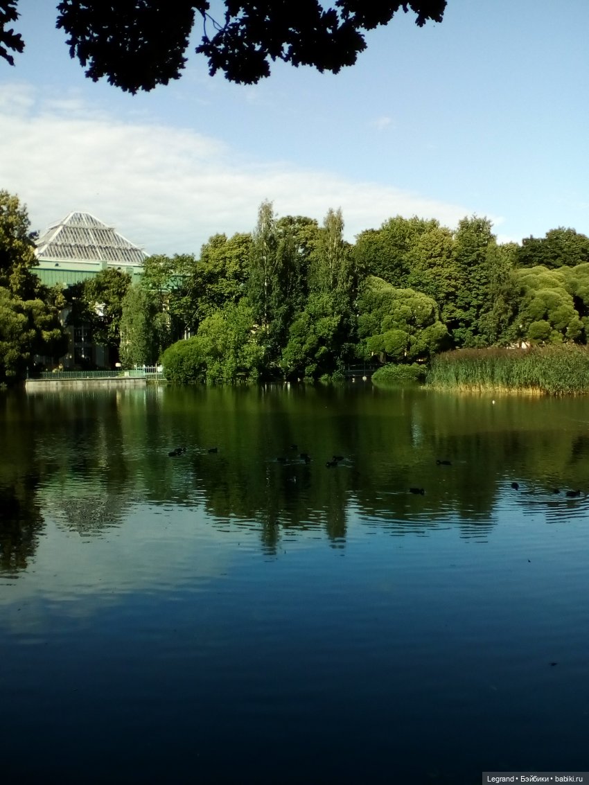 Петербург. Милош в Таврическом саду (фото 8)