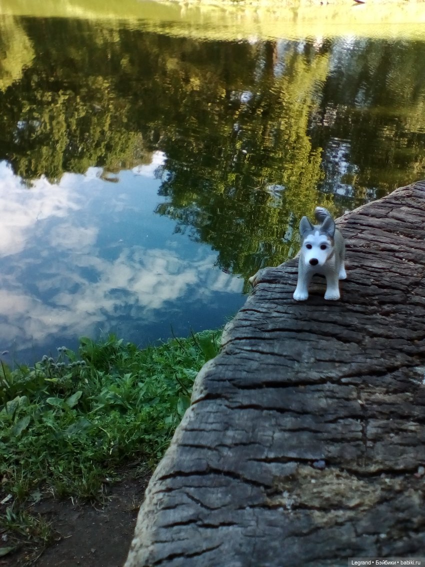 Петербург. Милош в Таврическом саду