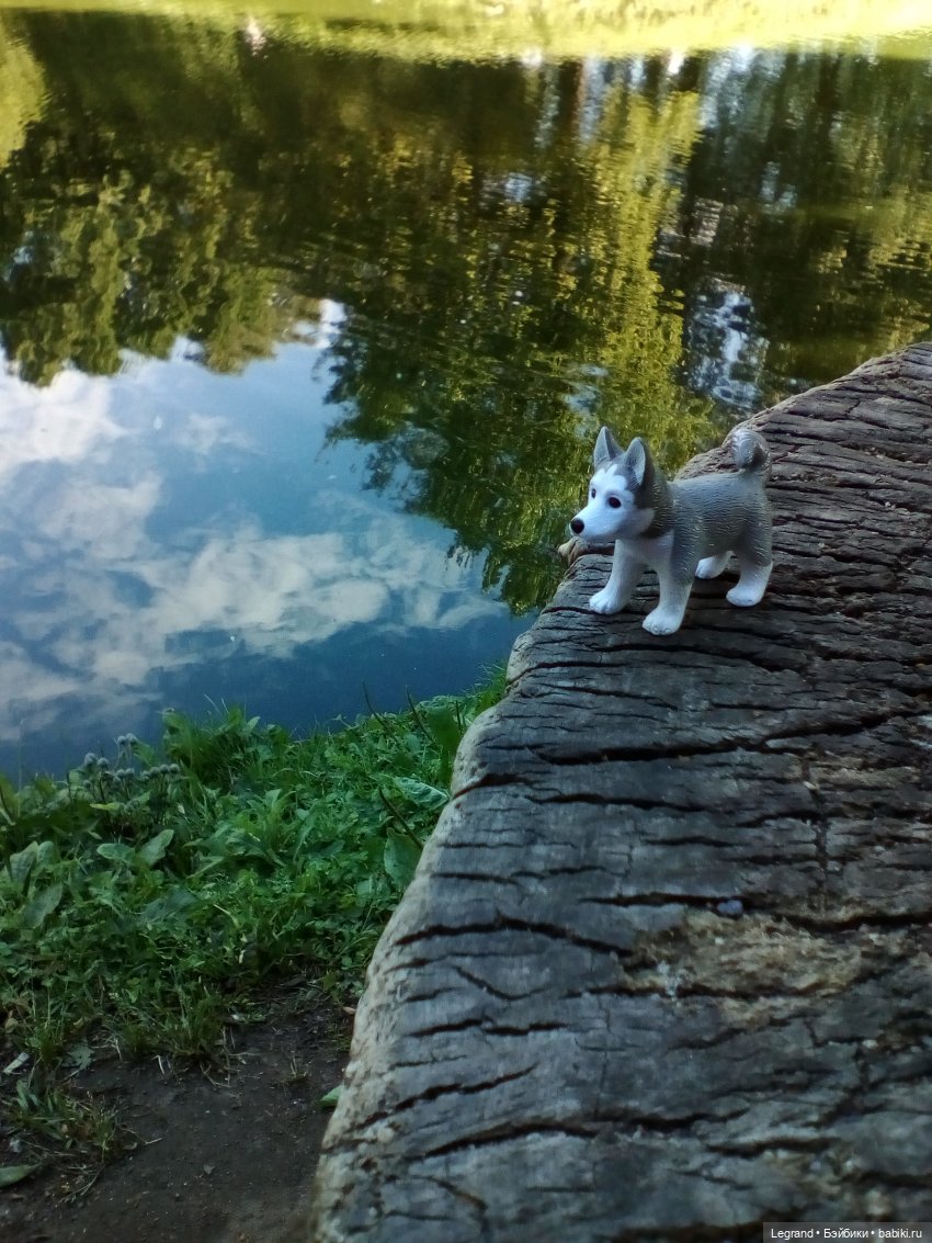 Петербург. Милош в Таврическом саду