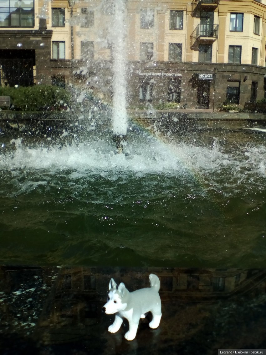 Петербург. Милош в Таврическом саду (фото 4)