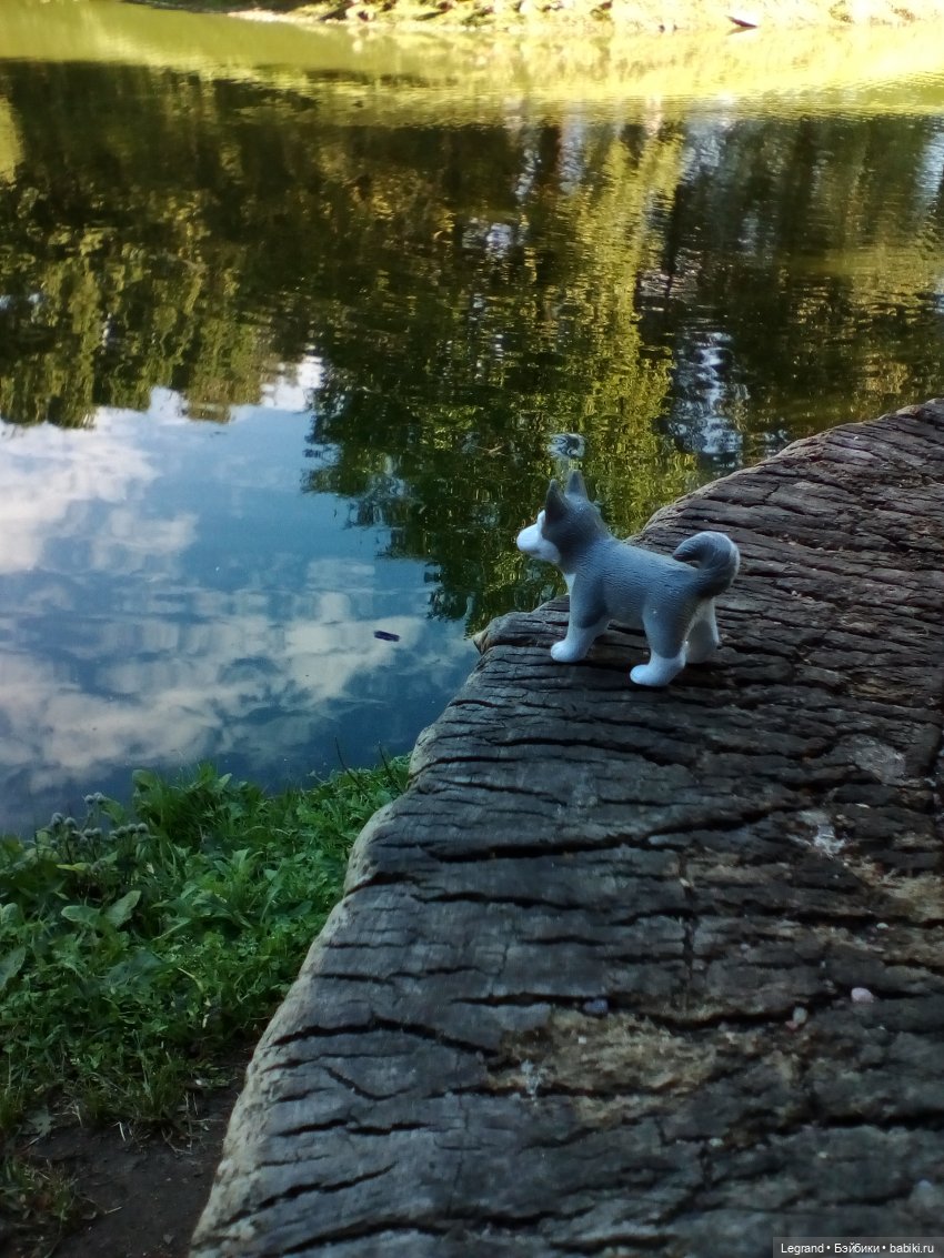 Петербург. Милош в Таврическом саду