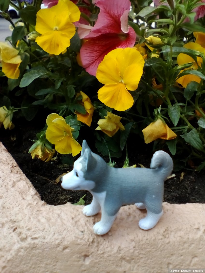 Петербург. Милош в Таврическом саду