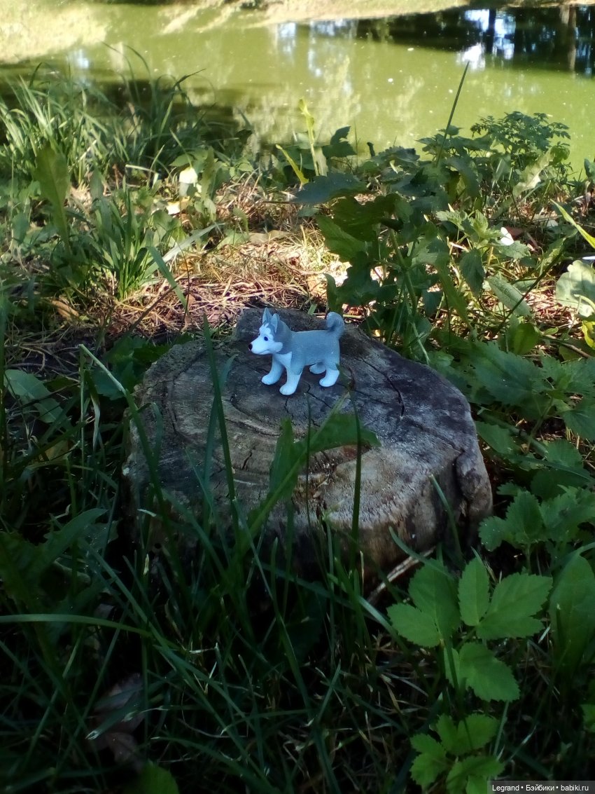 Петербург. Милош в Таврическом саду (фото 9)