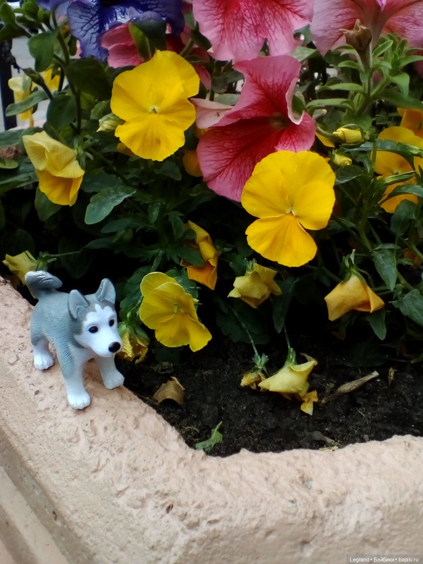 Петербург. Милош в Таврическом саду