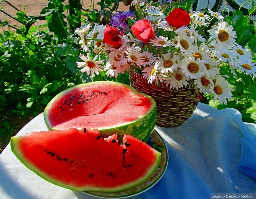 Они сами пишут свои истории: 3 августа - Всемирный день арбуза | Бэйбики Они сами пишут свои истории: 3 августа - Всемирный день арбуза