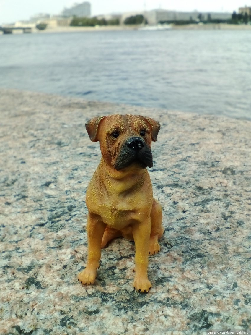 Петербург. Нева. Норд на набережной