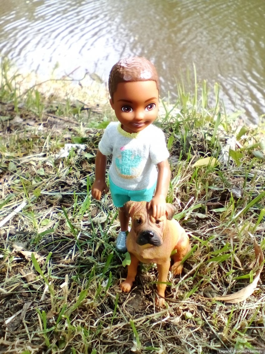 Петербург. Коди и Норд в Таврическом саду (фото 6)