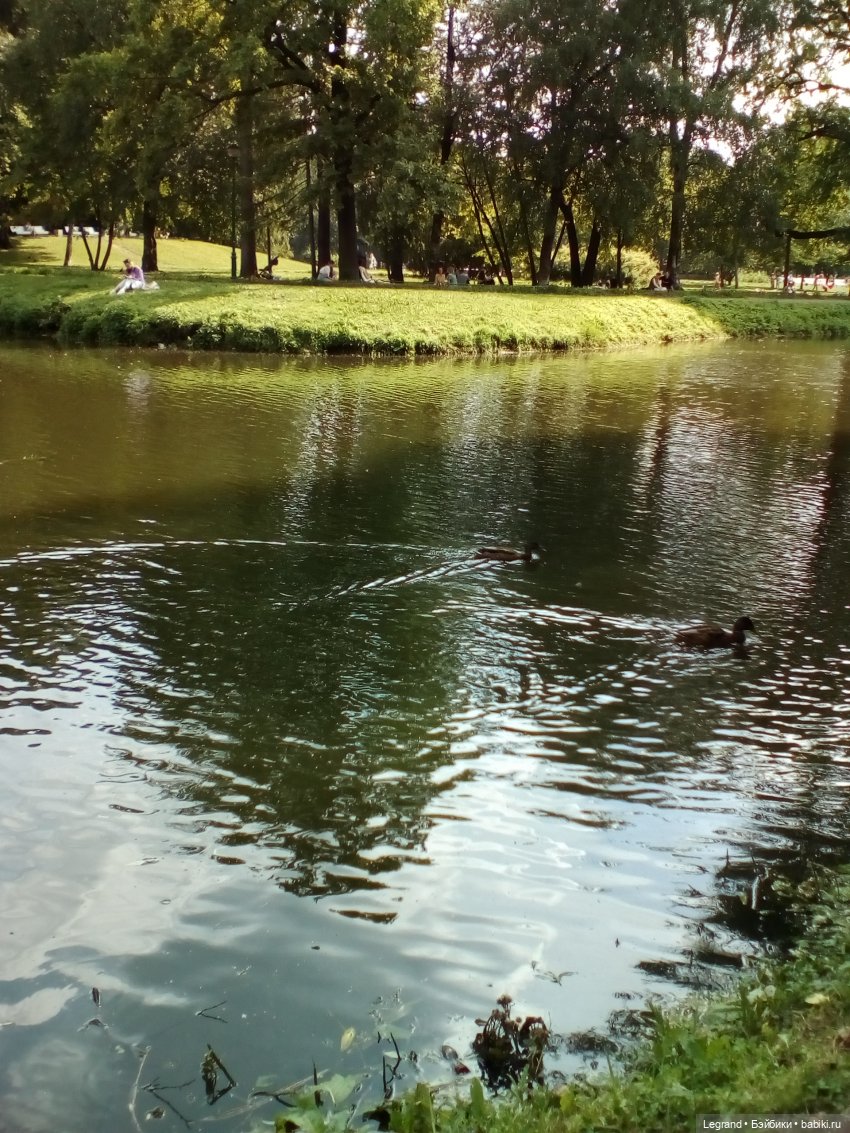 Петербург. Коди и Норд в Таврическом саду (фото 7)