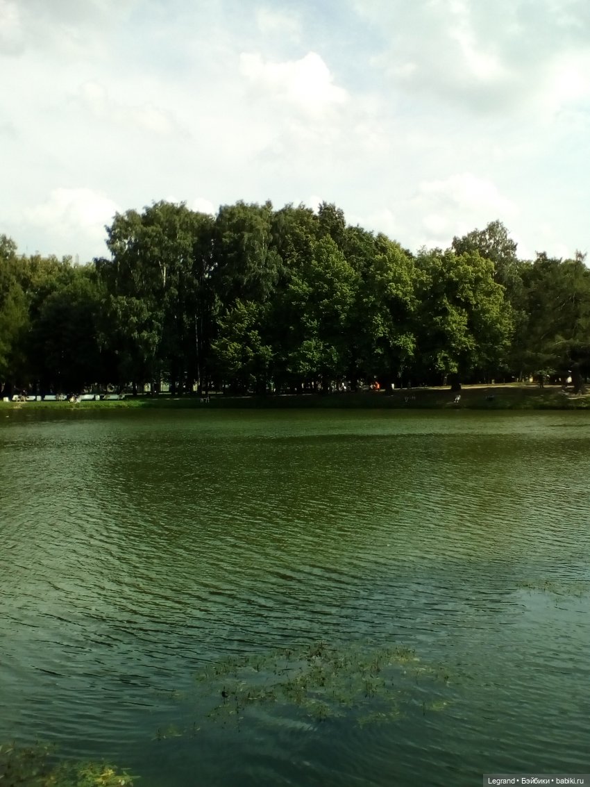 Петербург. Коди и Норд в Таврическом саду