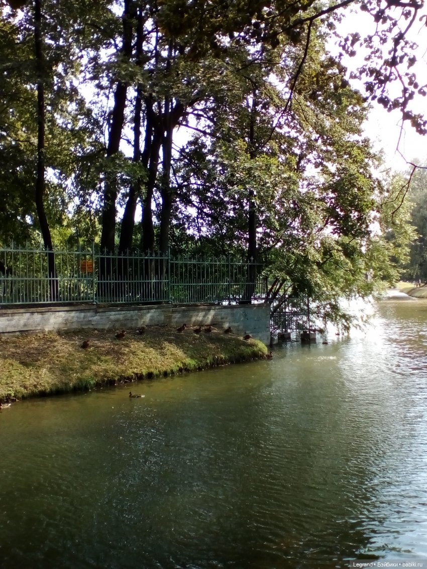 Петербург. Коди и Норд в Таврическом саду