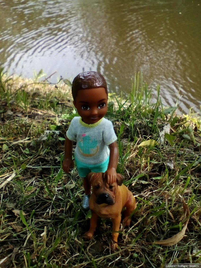 Петербург. Коди и Норд в Таврическом саду (фото 9)