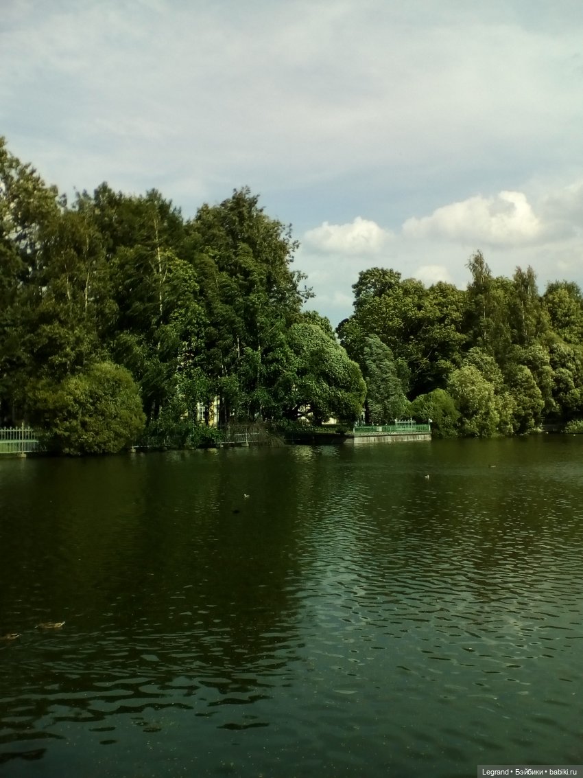 Петербург. Коди и Норд в Таврическом саду