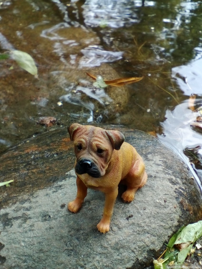 Петербург. Коди и Норд в Таврическом саду