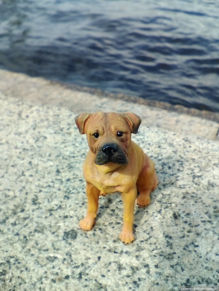 Петербург. Нева. Норд на набережной