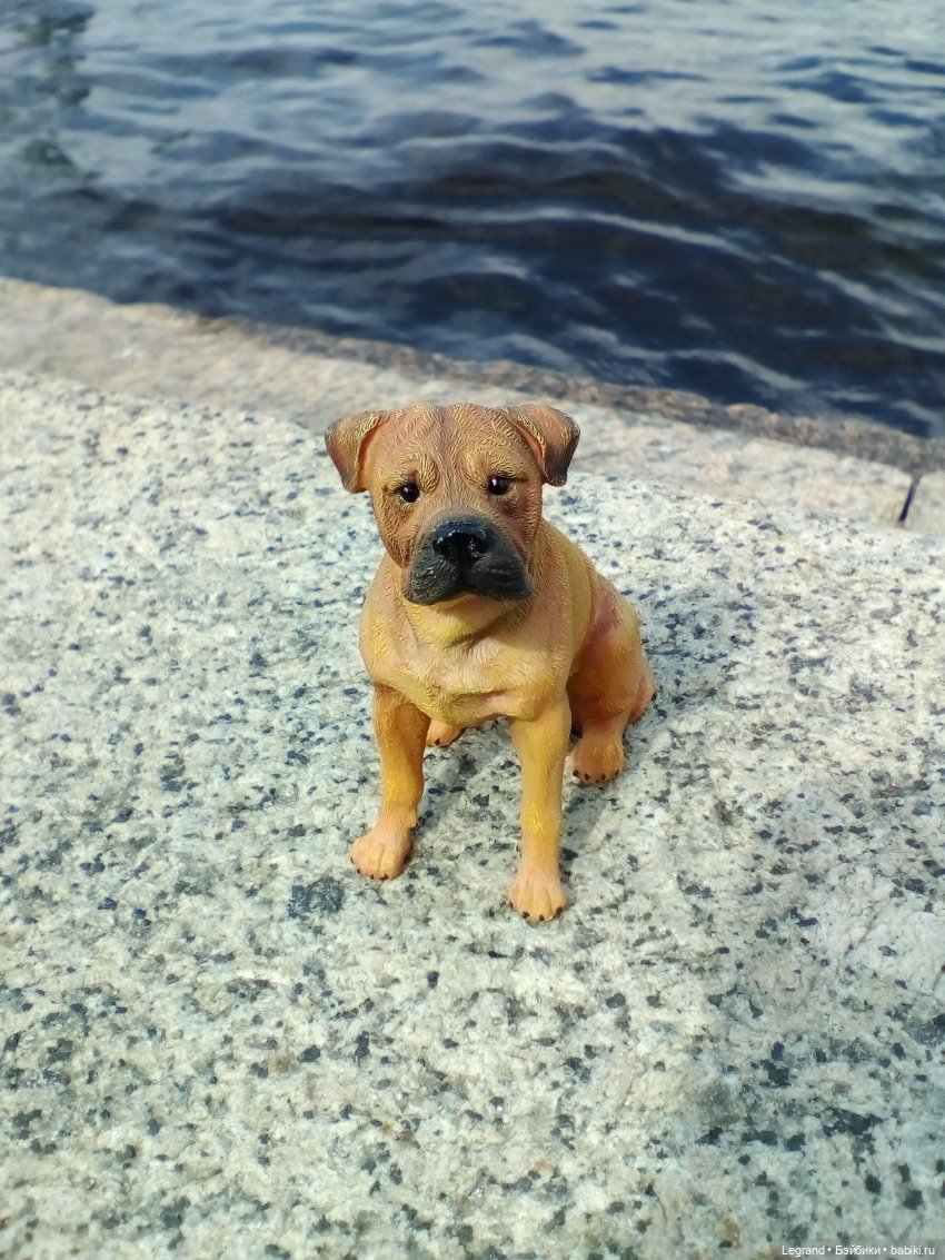 Петербург. Нева. Норд на набережной