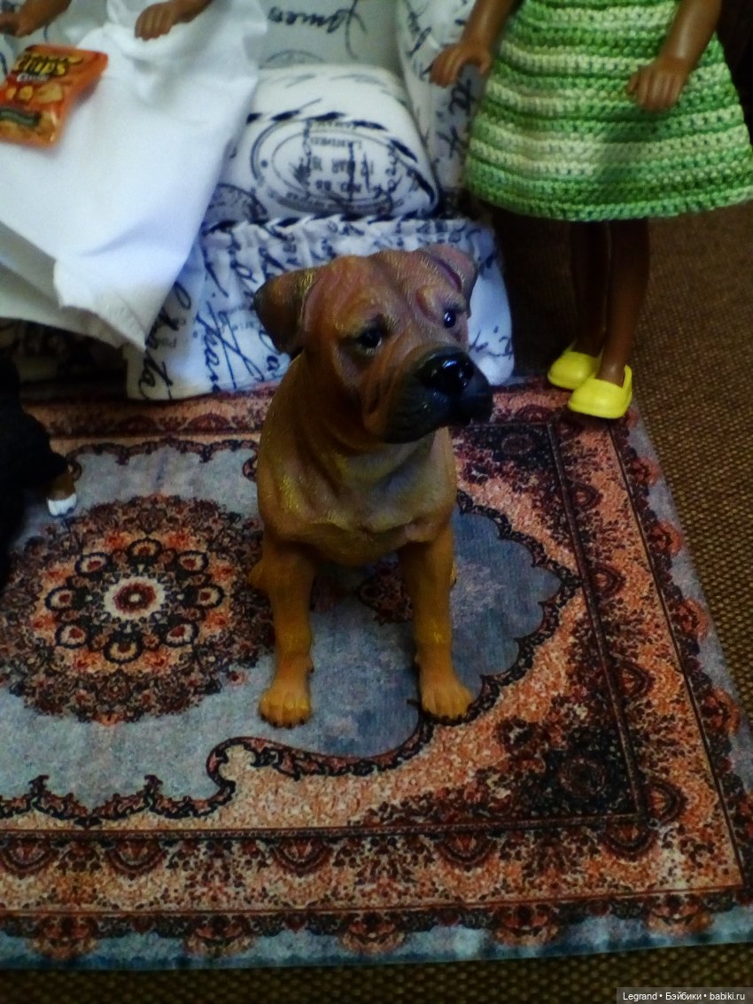 Маленькие луренцы: Коди рассказывает друзьям о прогулке