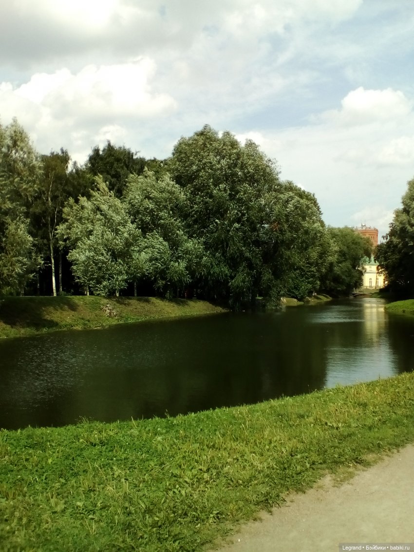 Петербург. Коди и Норд в Таврическом саду (фото 4)