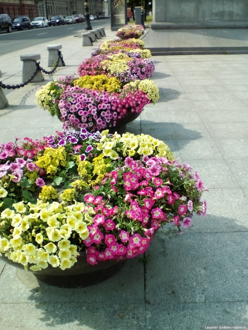 Петербург. Нева. Норд на набережной (фото 6)