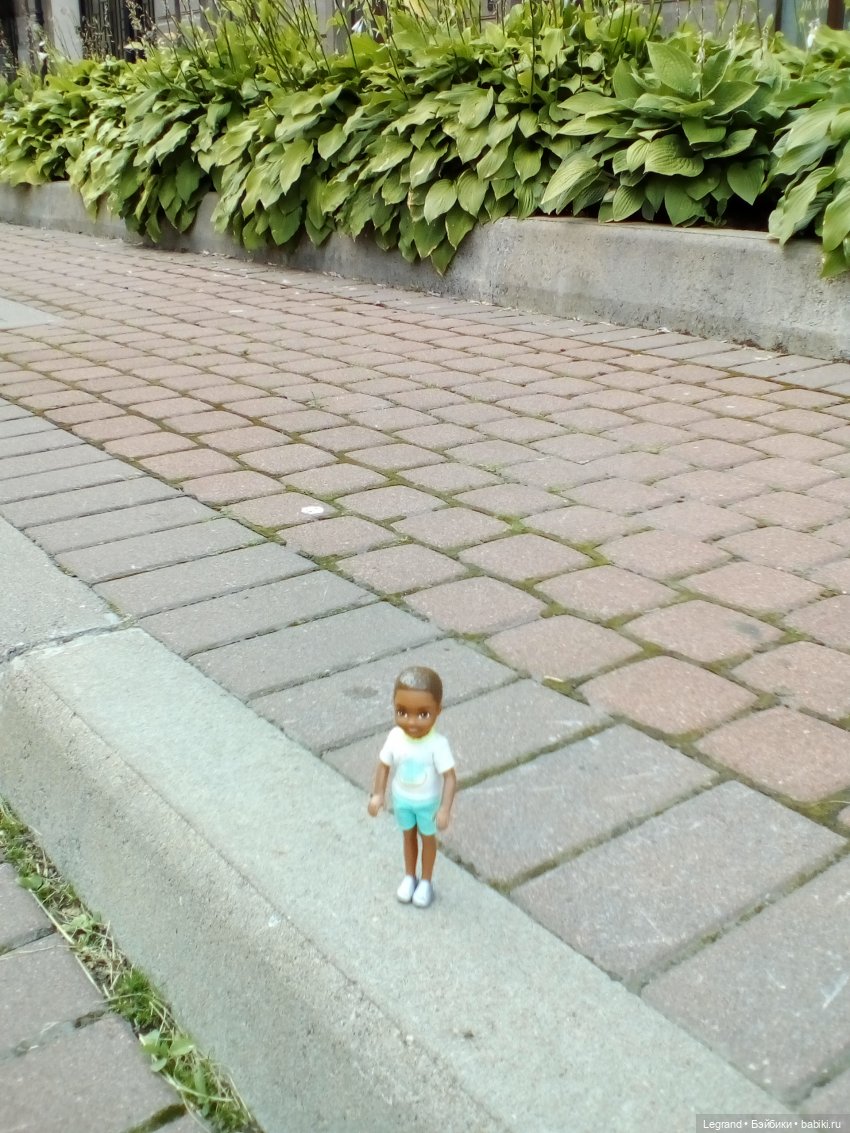 Петербург. Коди и Норд в Таврическом саду