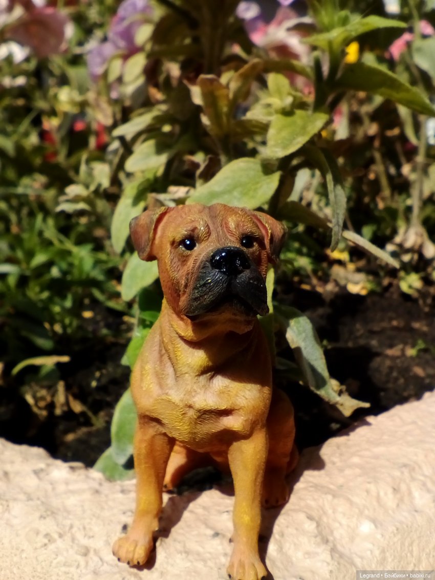 Петербург. Нева. Норд на набережной