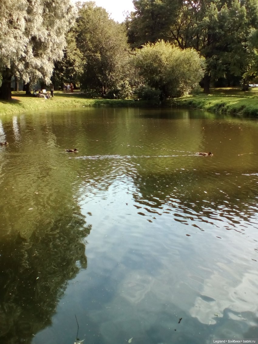 Петербург. Коди и Норд в Таврическом саду (фото 8)