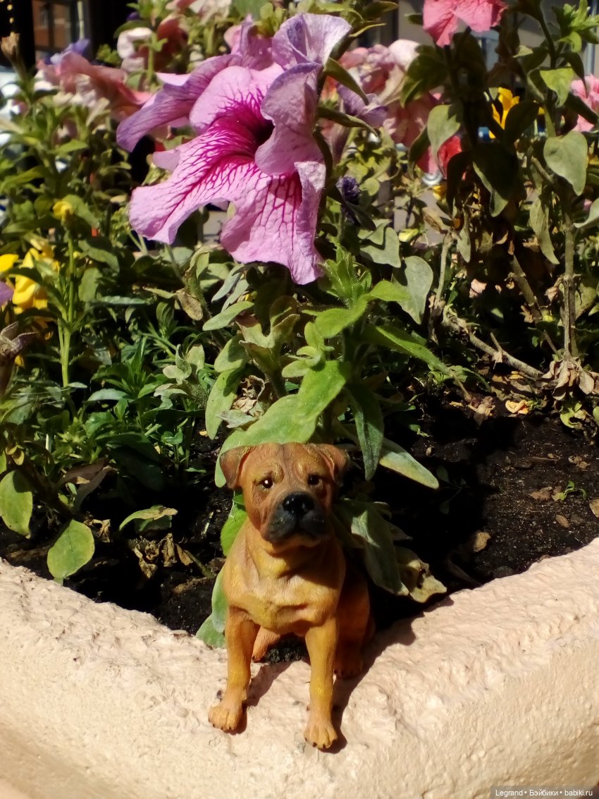 Петербург. Нева. Норд на набережной (фото 2)