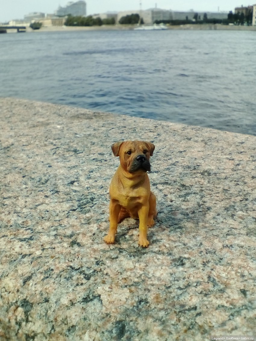 Петербург. Нева. Норд на набережной