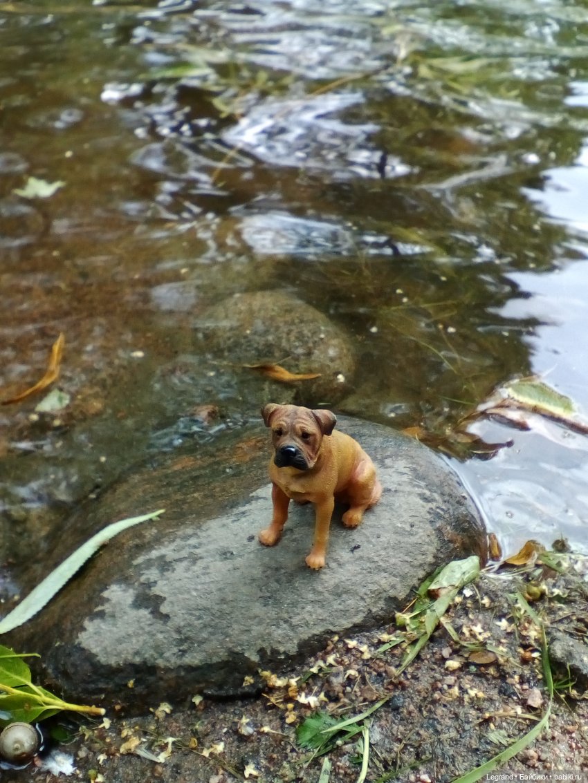 Петербург. Коди и Норд в Таврическом саду