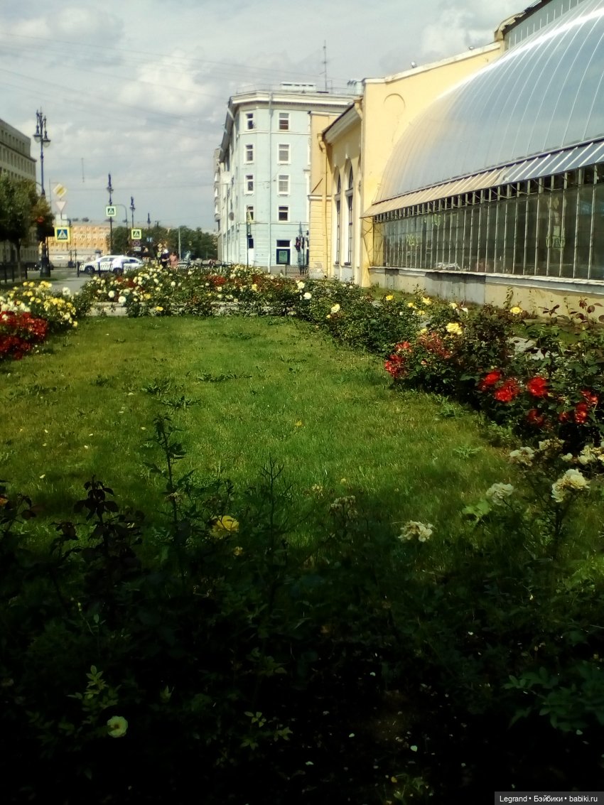 Петербург. Нева. Норд на набережной